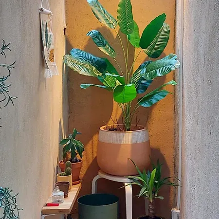 Apartamento Plein Coeur Montpellier